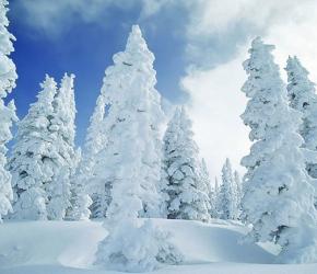 东升穿越雪乡长白山魔界吉林雾凇岛双飞7日