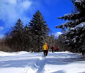 哈尔滨亚布力雪乡长春沈阳双飞8日